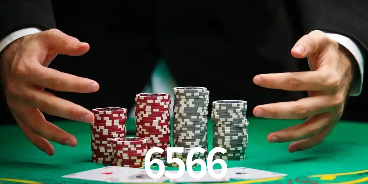 6566